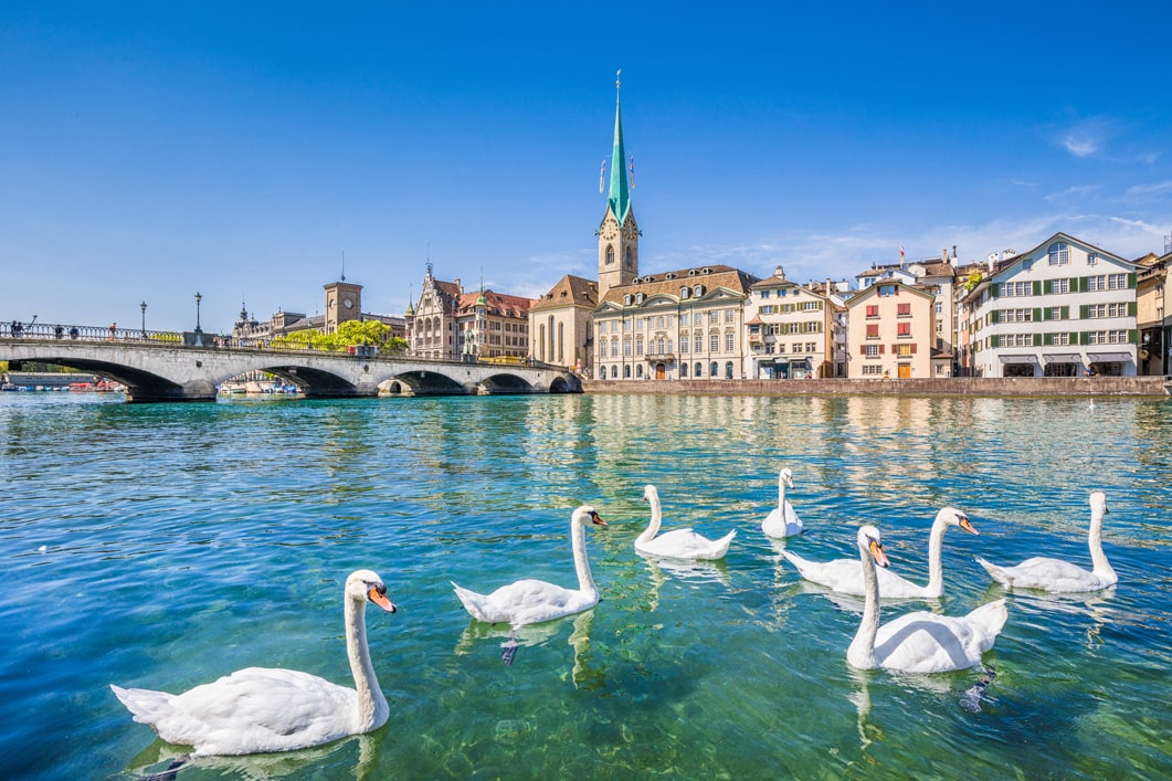 Schöne Aussicht auf das historische Stadtzentrum von Zürich mit der berühmten Fraumunster Kirche und Schwäne am Fluss Limmat an einem sonnigen Tag mit blauem