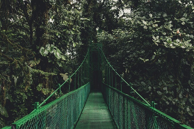 Junglebrücke erkunden mit Maxiflug